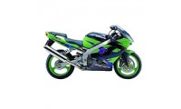 2002-2003 Kawasaki ZX9R Verkleidung