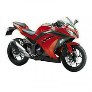 2013-2024 Kawasaki Ninja 300 Verkleidung