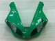 Grün 2000-2001 YZF R1 Motorrad Verkleidungen Grün 2000-2001 YZF R1 Motorrad Verkleidungen