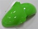 Grün 2000-2002 ZX6R Motorrad Verkleidung Grün 2000-2002 ZX6R Motorrad Verkleidung