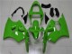 Grün 2000-2002 ZX6R Motorrad Verkleidung Grün 2000-2002 ZX6R Motorrad Verkleidung