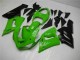 Grün 2005-2006 ZX6R Motorrad Vollverkleidung Grün 2005-2006 ZX6R Motorrad Vollverkleidung