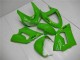 Grün 2005-2006 ZX6R Motorrad Vollverkleidung Grün 2005-2006 ZX6R Motorrad Vollverkleidung