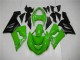 Grün 2005-2006 ZX6R Motorrad Vollverkleidung Grün 2005-2006 ZX6R Motorrad Vollverkleidung