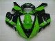 Grün Schwarz 2005-2006 ZX6R Motorrad Verkleidung Grün Schwarz 2005-2006 ZX6R Motorrad Verkleidung