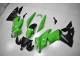 Grün Schwarz 2009-2011 EX650 Motorrad Verkleidung Grün Schwarz 2009-2011 EX650 Motorrad Verkleidung