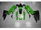 Grün Schwarz 2009-2011 EX650 Motorrad Verkleidungen Grün Schwarz 2009-2011 EX650 Motorrad Verkleidungen