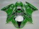 Grün Schwarzer LeoVince 2009-2012 ZX6R Motorrad Verkleidung Grün Schwarzer LeoVince 2009-2012 ZX6R Motorrad Verkleidung