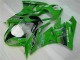 Grün Schwarzer LeoVince 2009-2012 ZX6R Motorrad Verkleidung Grün Schwarzer LeoVince 2009-2012 ZX6R Motorrad Verkleidung