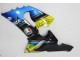 Hai 2005-2006 ZX6R Motorrad Verkleidung Hai 2005-2006 ZX6R Motorrad Verkleidung