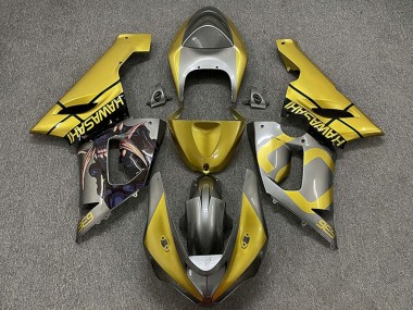 Kawasaki ZX6R Motorrad Verkleidung 2005-2006 - Gold Silber