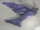 Kawasaki ZX6R Motorrad Verkleidung 2019-2022 - Chameleon Grau Dazz Perl Lila