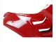 Ducati Panigale V4 V4S Motorrad Verkleidung 2020-2021 - Rot Matt Schwarz