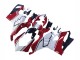 Ducati Panigale V4 V4S Motorrad Verkleidung 2020-2021 - Weiss Rot Grun Matt Schwarz