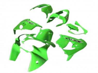Kawasaki ZX9R Motorrad Verkleidung 2002-2003 - Grun