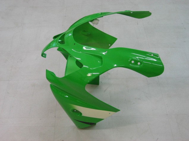 Kawasaki ZX9R Motorrad Verkleidung 2000-2001 - Grun Silber Schwarz