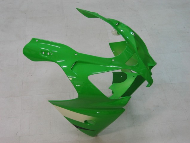 Kawasaki ZX9R Motorrad Verkleidung 2000-2001 - Grun Silber Schwarz