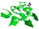 Kawasaki ZX9R Motorrad Verkleidung 2000-2001 - Grun