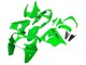 Kawasaki ZX9R Motorrad Verkleidung 2000-2001 - Grun