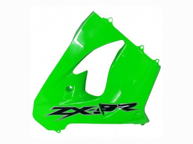 Kawasaki ZX9R Motorrad Verkleidung 2000-2001 - Grun