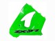 Kawasaki ZX9R Motorrad Verkleidung 2000-2001 - Grun