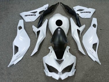 Kawasaki ZX25R ZX-25R Motorrad Verkleidung 2019-2025 - Weiss Matt Schwarz