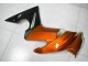 Orange 2009-2011 EX650 Motorrad Verkleidung Orange 2009-2011 EX650 Motorrad Verkleidung