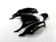 Schwarz Grün 2012-2021 ZX14R ZZR1400 Motorrad Verkleidung Schwarz Grün 2012-2021 ZX14R ZZR1400 Motorrad Verkleidung